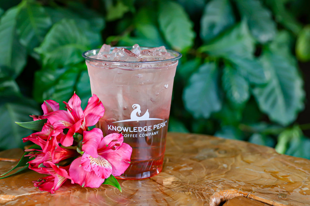 Knowledge Perk Coffee Company